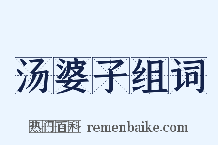 汤婆子组词是什么意思的图片